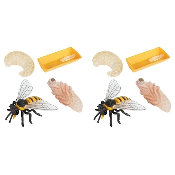 Iepakojumā 8 Kukaiņu Figūriņas Dzīves Cikla Medus Bišu Reāli Kukaiņi Skaitļi Rotaļlietas Izglītības Zinātnes Modeli Rotaļlietas